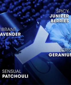 Svestrani parfem koji se može nositi u svim godišnjim dobima