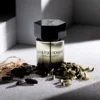 Parfem sa kardamonom, YSL La Nuit de L'Homme, koji stvara toplu auru