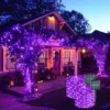 Dekorativni LED niz u ljubičastoj boji stvara magičnu i elegantnu atmosferu