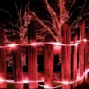 LED sijalice u crevu 10m crvene savršene su za osvetljenje terasa, plafona i zidova